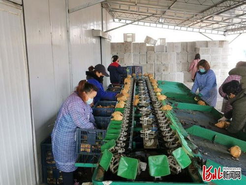 涿州市市場監管局為企排憂解難題