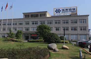 浙江華友鈷業(yè)股份有限公司 全球鈷業(yè)先鋒與可持續(xù)發(fā)展之路