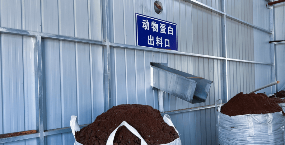 達拉特旗構建“五位一體”病死畜禽無害化處理模式，推動生物有機肥料研發(fā)保障食品與生態(tài)安全