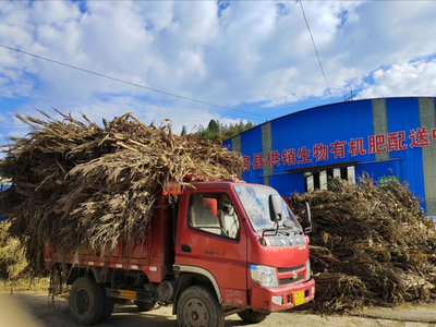 秸稈肥料化利用 從‘包袱’到‘綠色財富’的轉變