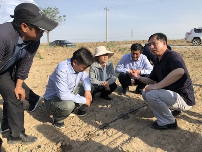 智慧滴灌助增產 引得肥水潤良田--走近兵團‘最美科技工作者’的生物有機肥料研發之路